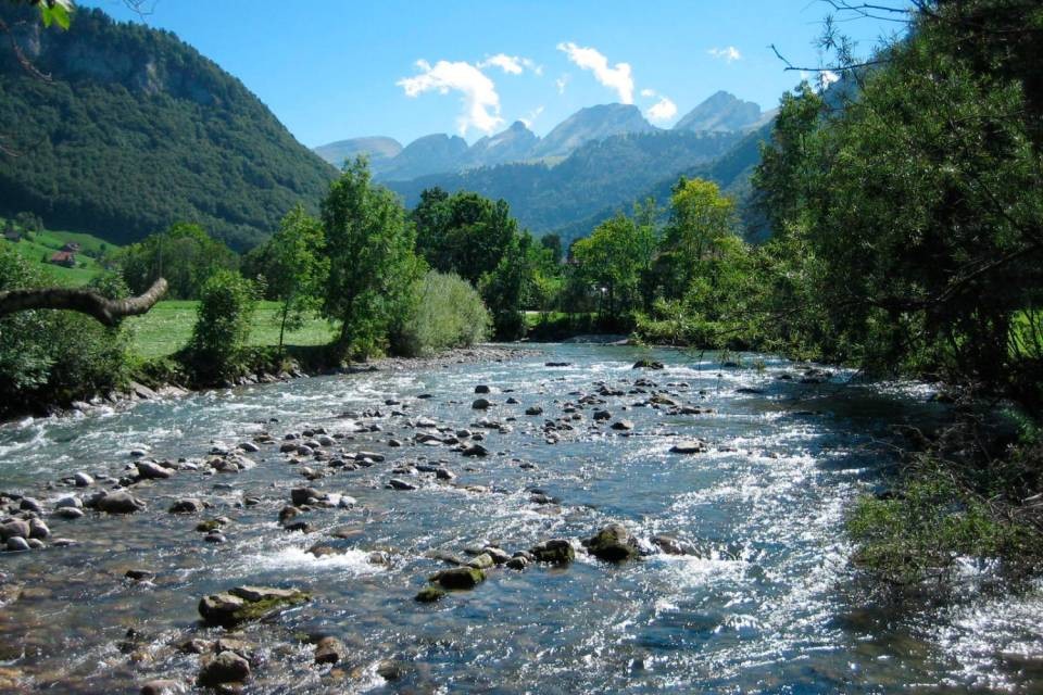 Foto Wikimedia Commons