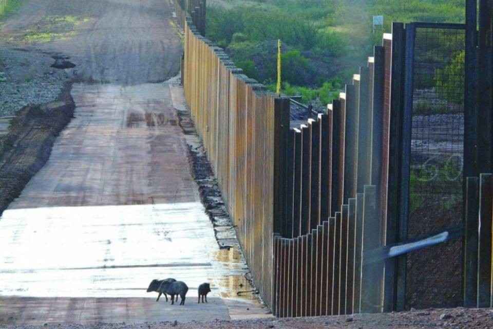 L'Italia adesso vuole il muro al confine