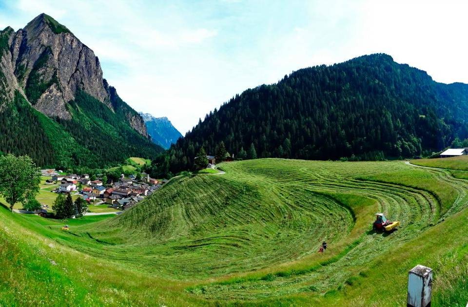 La fotografia Fienagione di Flavio Camponovo, lo scorso anno, ha vinto la categoria Paesaggio agricolo. Foto Flavio Camponovo