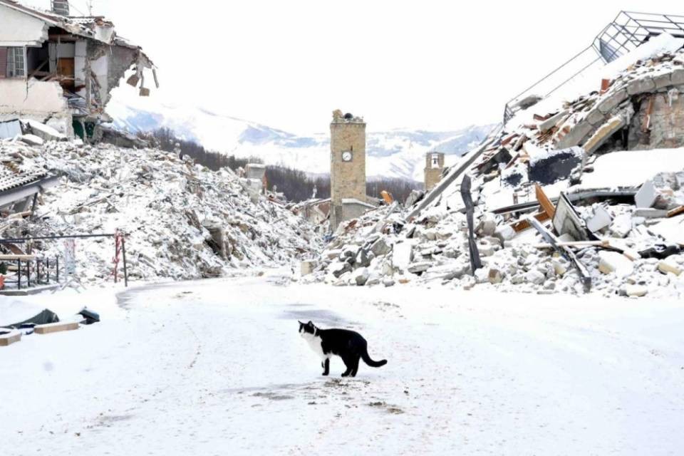 Centro Italia in ginocchio: "Per ora non ci servono beni"