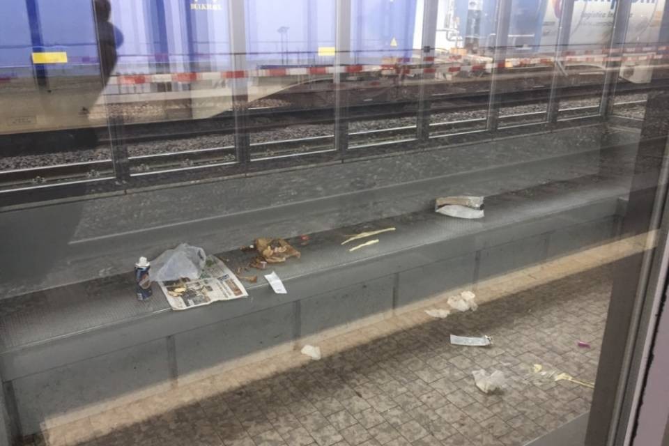 "Quella saletta è un porcile!"