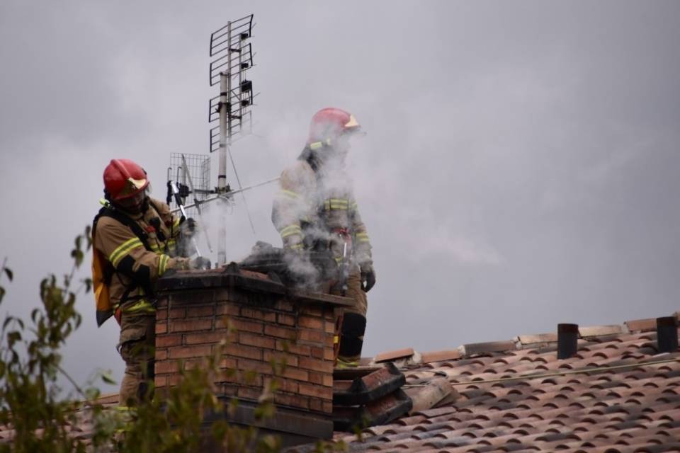 Un nido di calabroni potrebbe aver causato un incendio