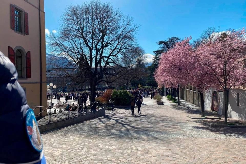Foto Polizia Canton Vallese