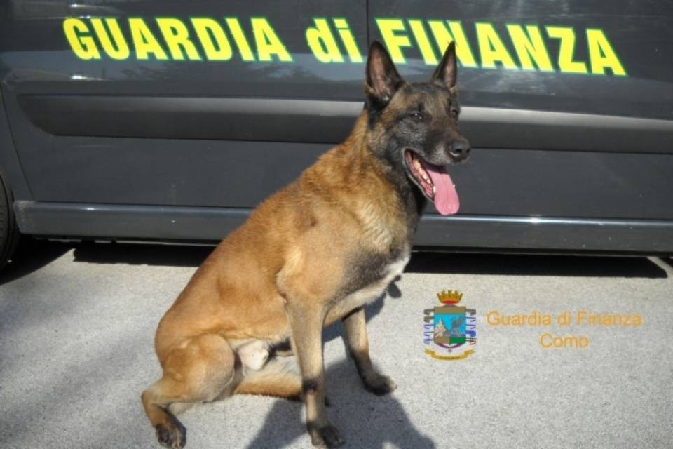 Brogeda, fermato con l'auto piena di droga