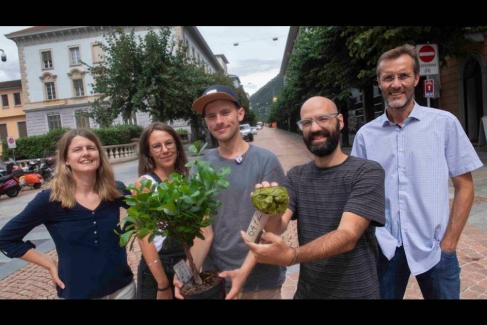 "Meno cemento e più verde per difenderci dalla canicola"