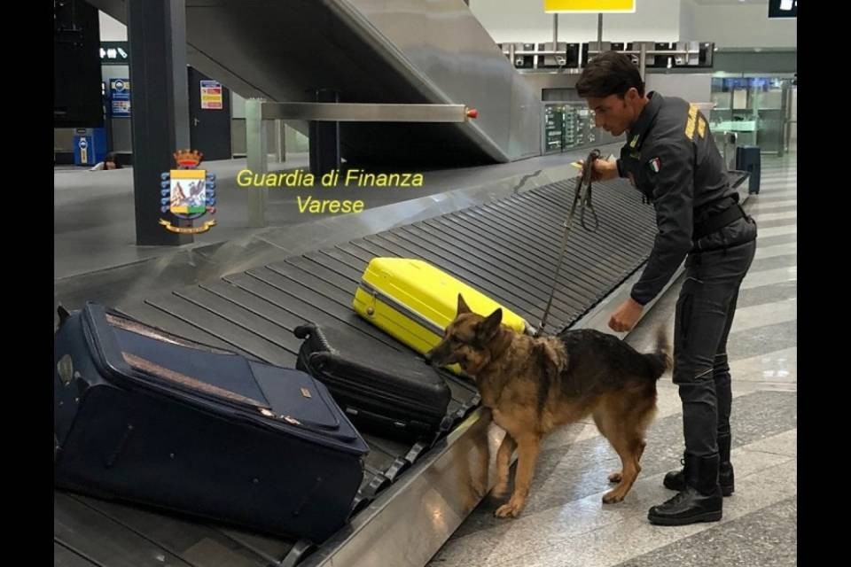 Sgominato traffico di cocaina, arresti anche in Svizzera