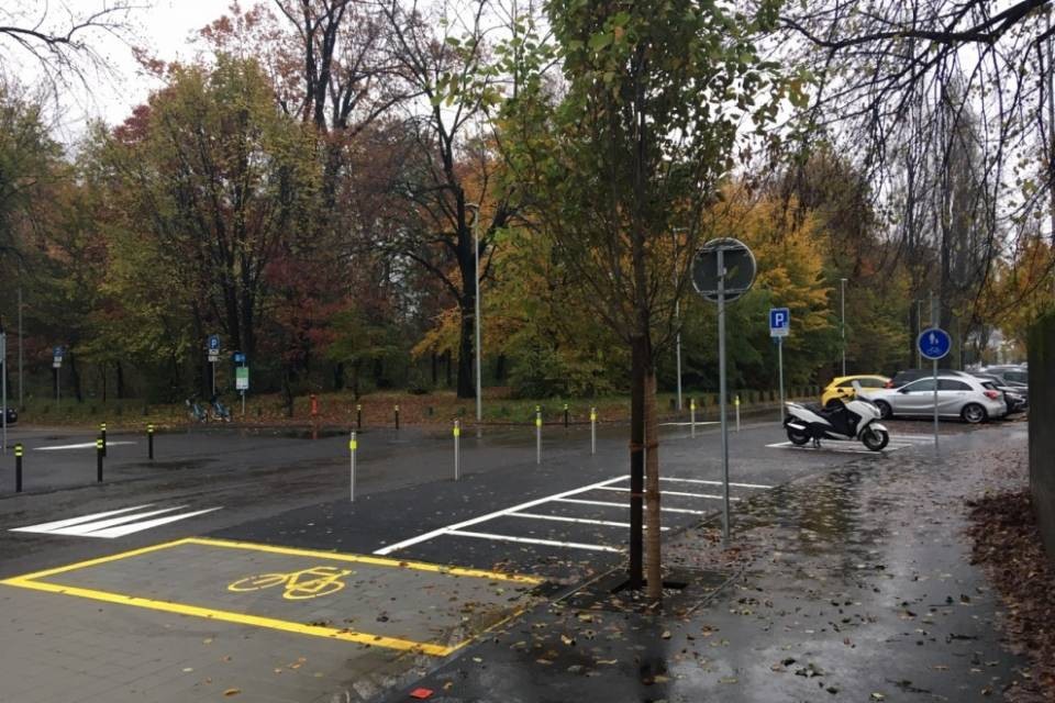 33 nuove piante, più sicurezza e migliorie per il bike sharing