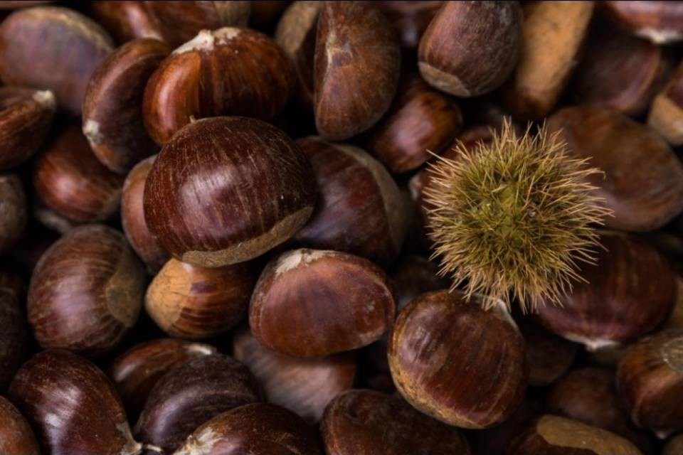L'autunno 2016 ha portato 10 tonnellate di castagne