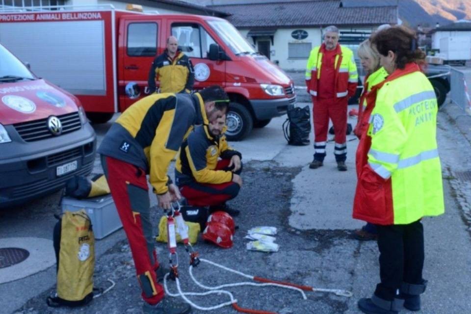 Sempre più pericoloso salvare animali
