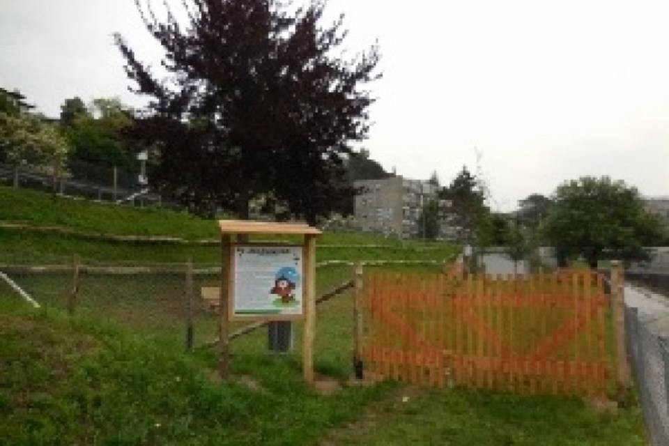 "Hanno avvelenato il mio cane"