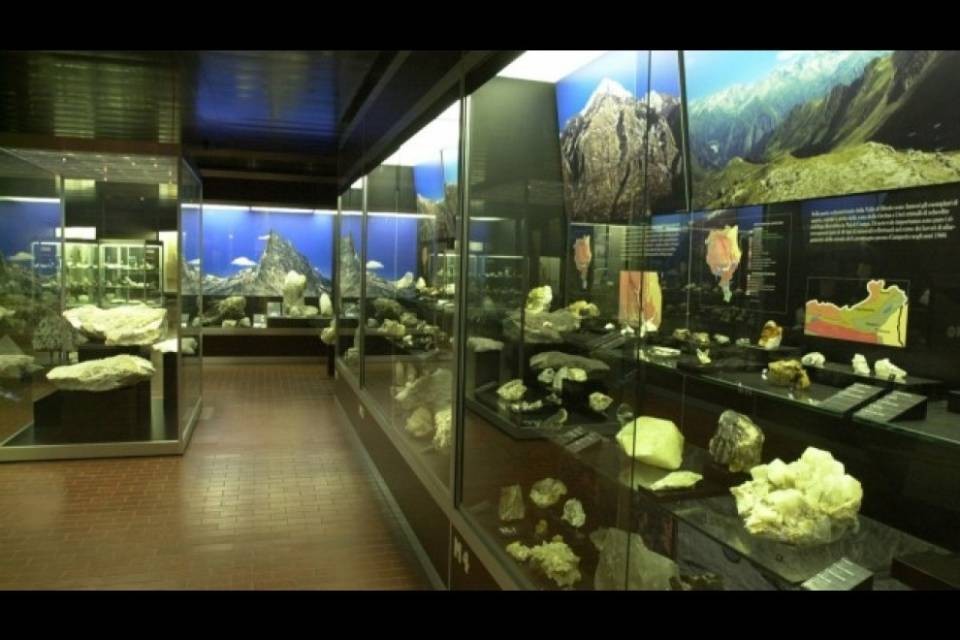 "7-8 anni per trasferire il Museo di storia naturale sono troppi"
