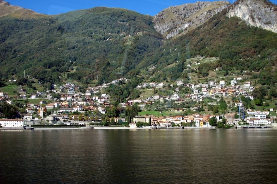 Cane morto nel lago, è giallo