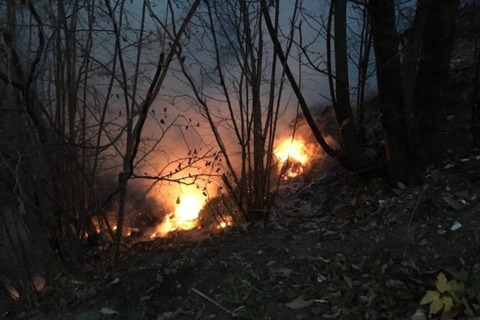 Principio d'incendio sui Monti di Gnosca