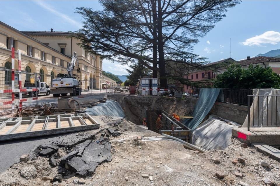 Strage di alberi maestosi a Bellinzona: "Una brutta malattia"