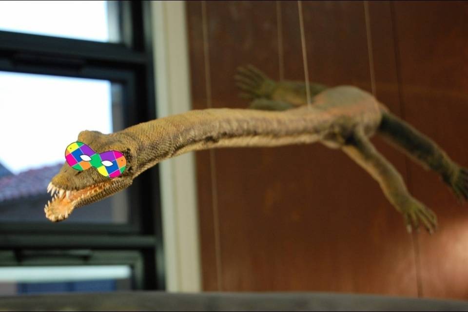 Se ti travesti, entri gratis al Museo dei fossili