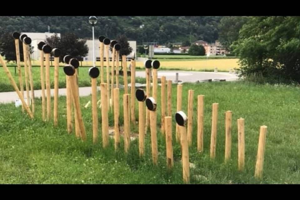 Bellinzona, teppisti danneggiano un'opera d'arte