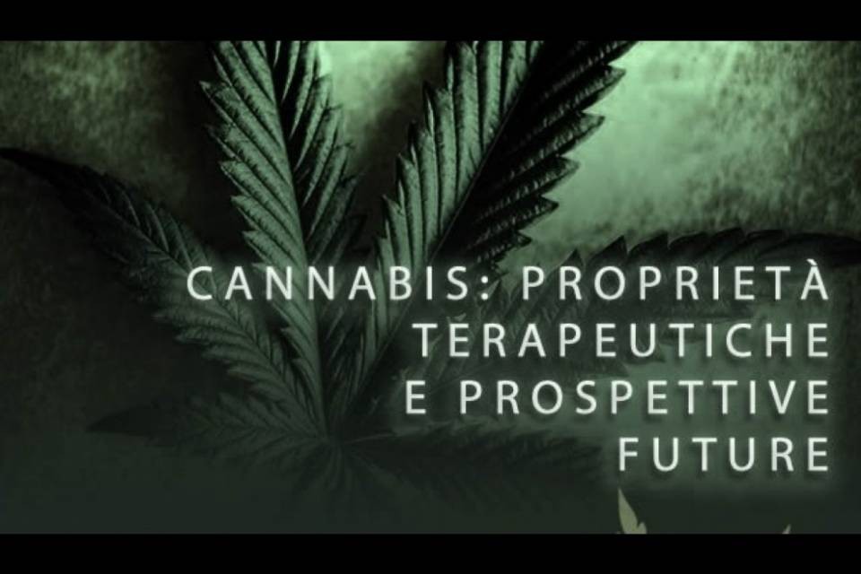 Si parlerà di Cannabis al Liceo Lugano 1