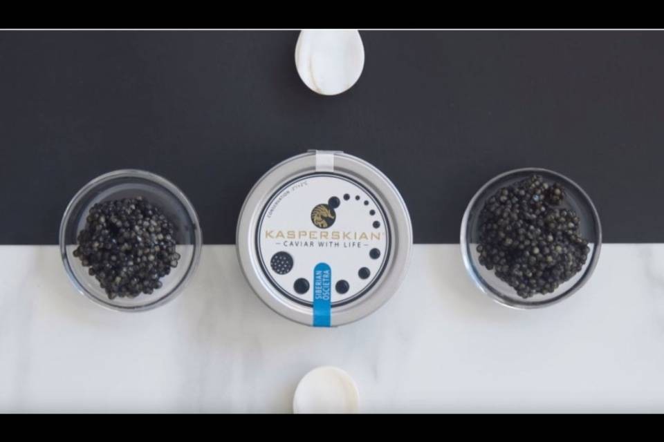 Mungere storioni per il caviale, fallito un progetto milionario