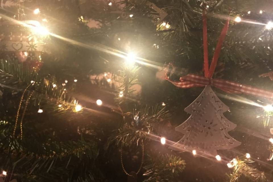 Un felice Natale anche dai politici