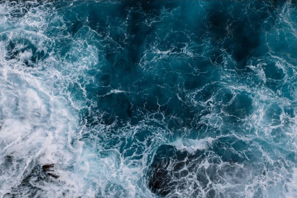 Uno spettacolo di beneficienza a favore degli oceani
