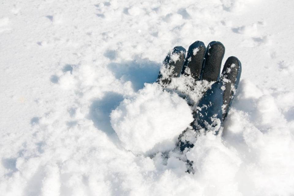 Foto Shutterstock