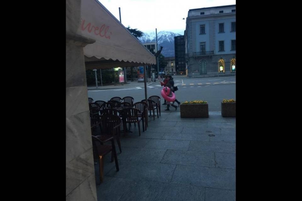 Fenicotteri 'rapiti' a Locarno, immortalati i colpevoli