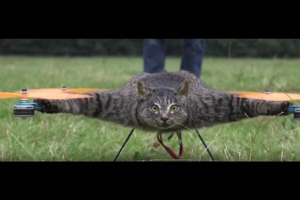 Animalisti, non cliccate qui!