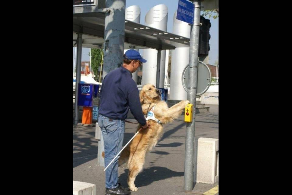 Porte aperte alla Fondazione romanda per cani guida per ciechi