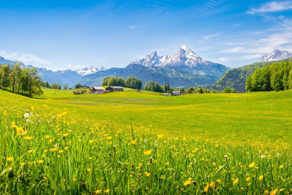 © Shutterstock