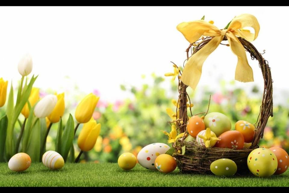 Buona Pasqua da Ticinonews!