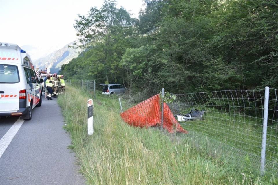 Distratta da un cane, conducente esce di strada
