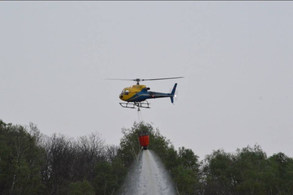 Fiamme nei boschi sopra Vezia