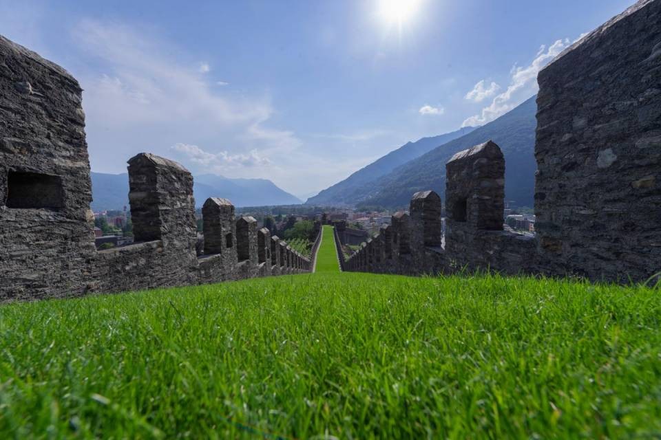 Foto Reguzzi