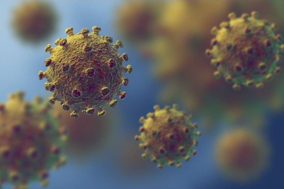 Un anticorpo contro la Sars svela un 'punto debole'