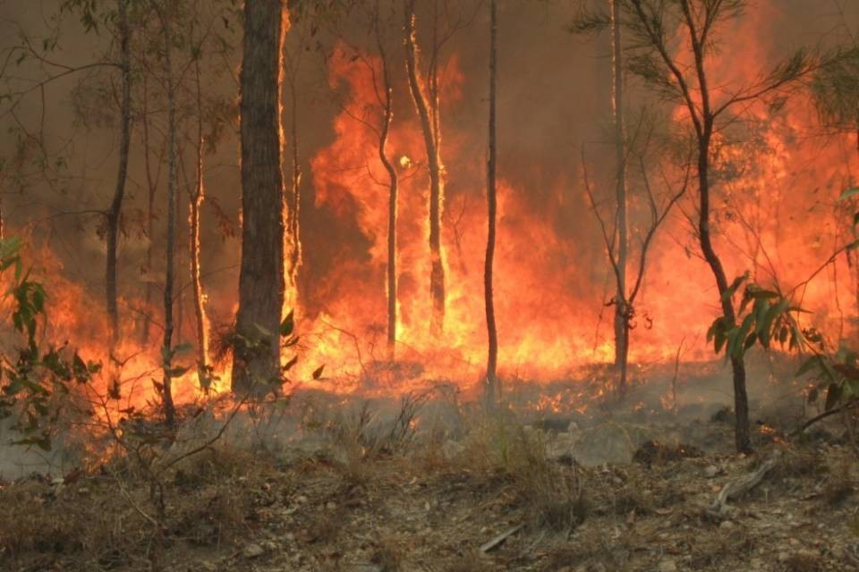 Australia: incendi, la situazione resta critica nel sud-est