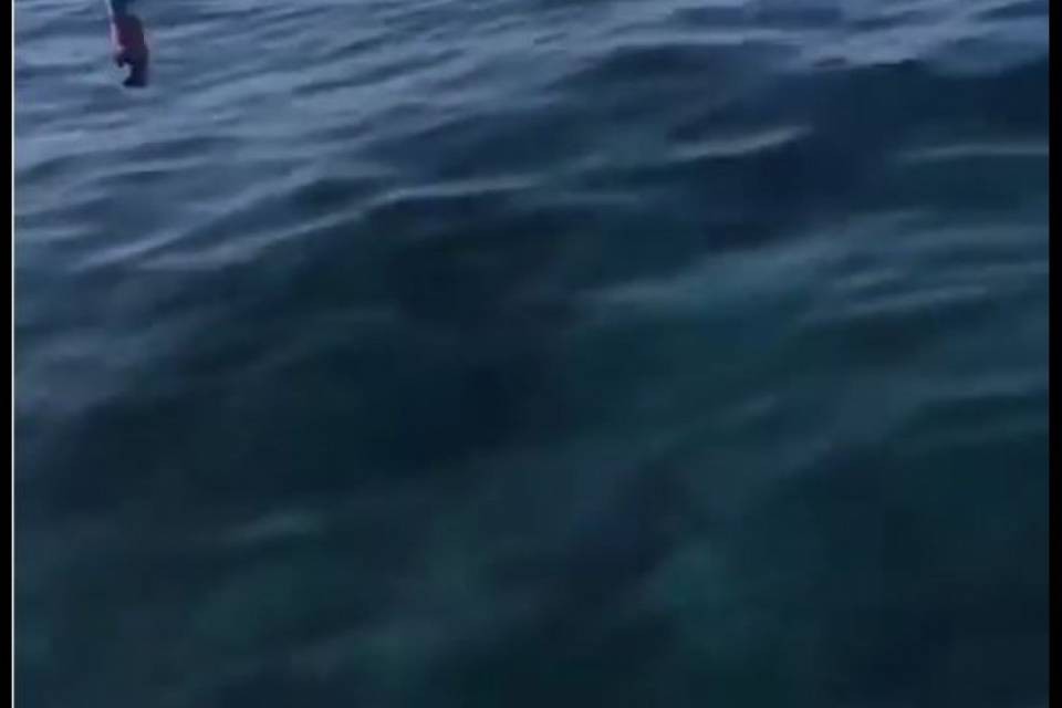 Si filma sui social mentre getta in mare la bottiglia: denunciato