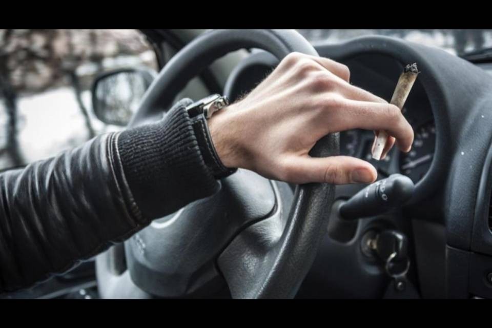 Canapa light al volante, soglie massime in arrivo?