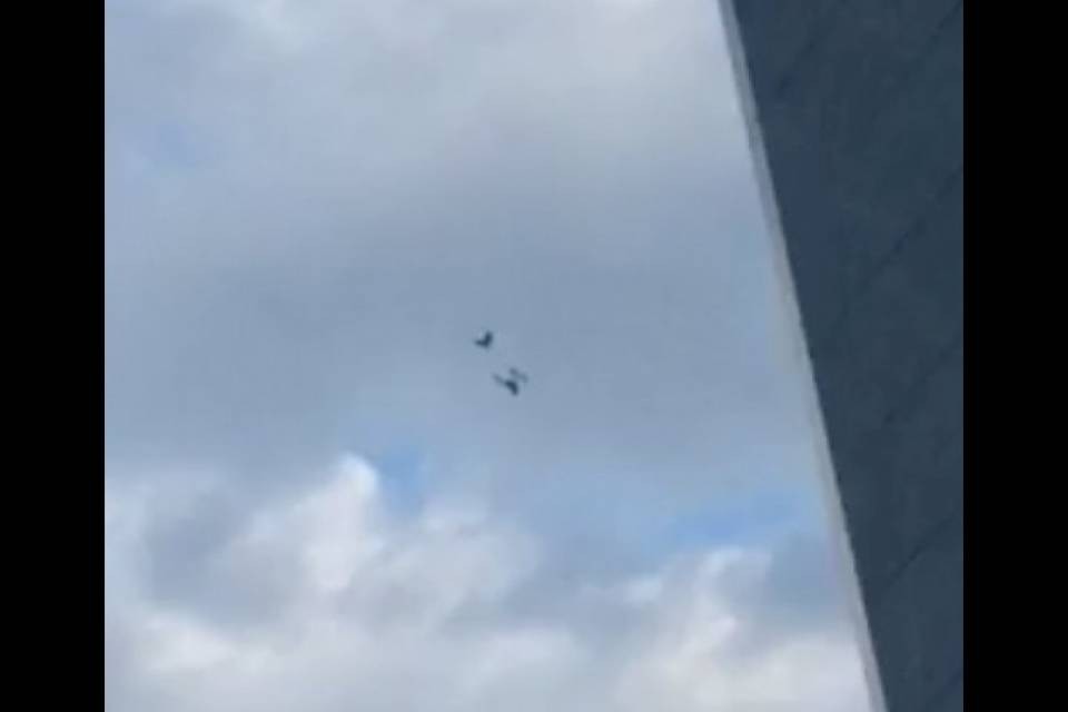 Lugano, drone "abbattuto" da un uccello - VIDEO