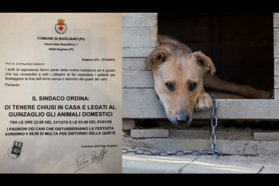 "Tenete i cani chiusi in casa la notte di Capodanno"