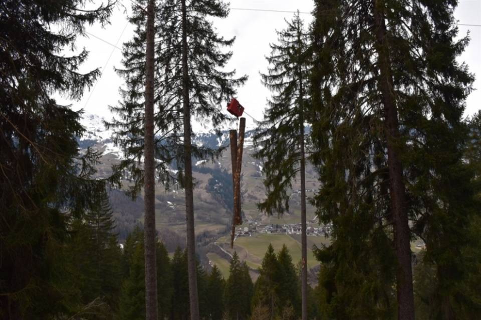 Morta una guardia forestale di 26 anni
