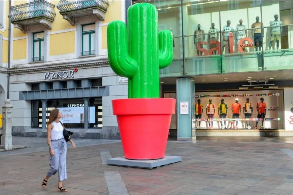 Eccheccactus!