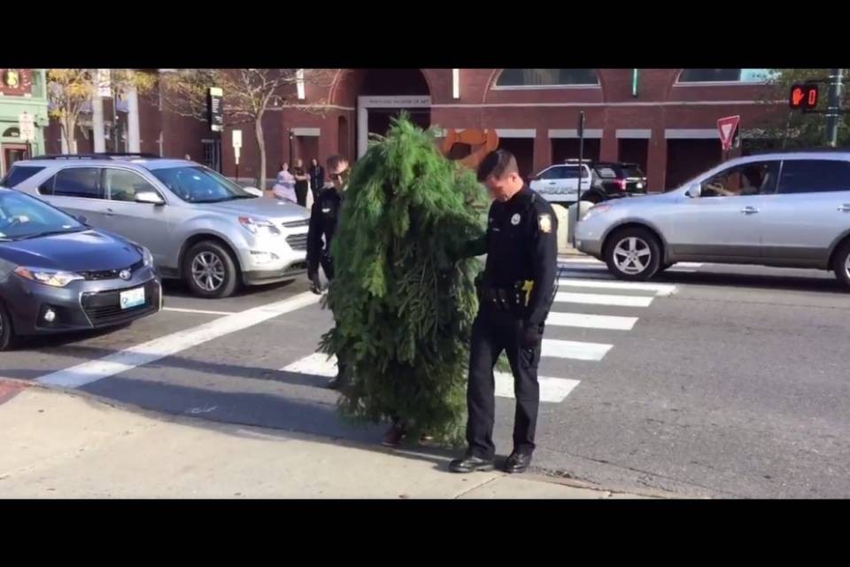 "Make America green again!": arrestato l'uomo-albero