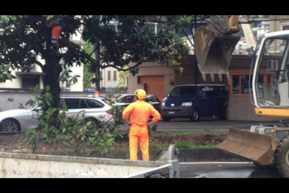 "Piazza Elvezia, quale futuro?"
