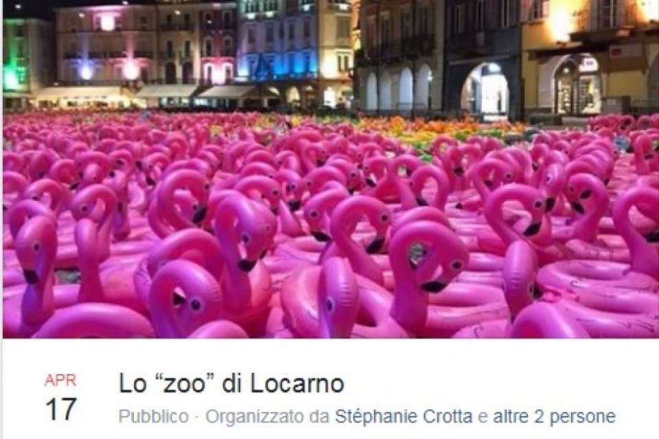 Vendita benefica di fenicotteri, i giovani PLR centrano l'obiettivo