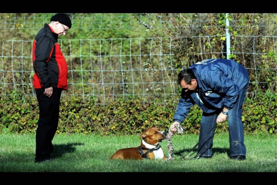 Anche a Lugano il suo dog park
