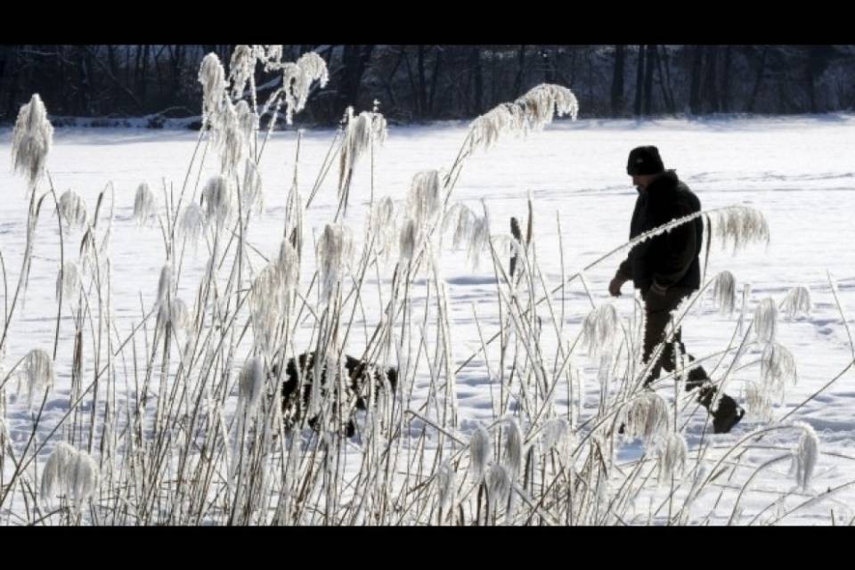 Emergenza freddo, ecco chi chiamare