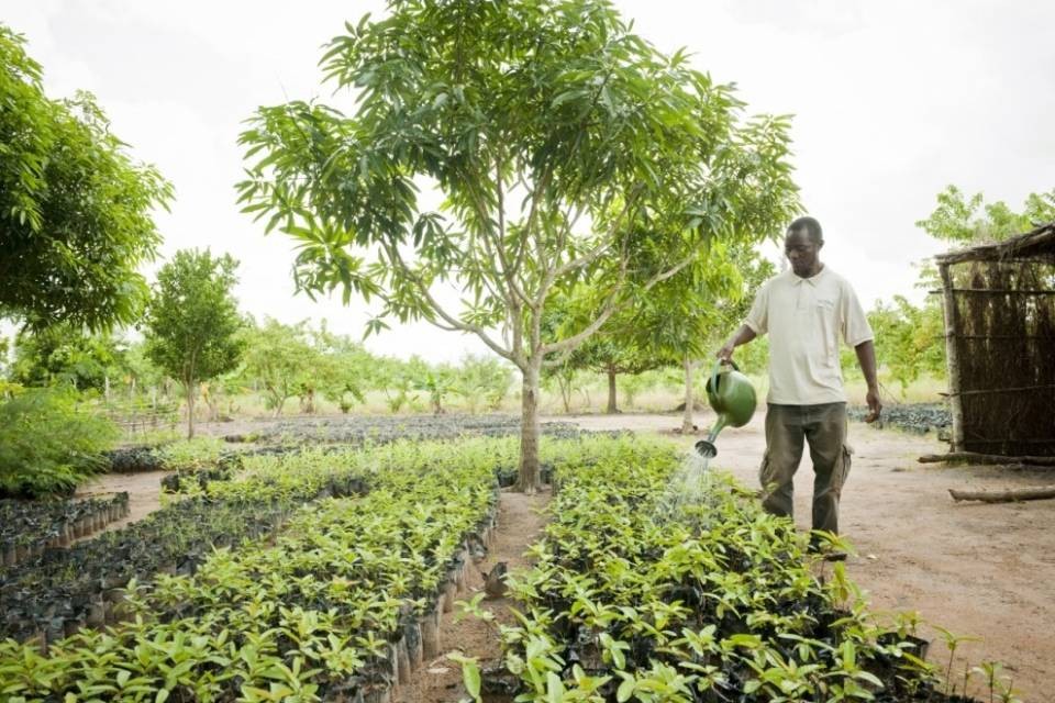 Il Ticino aiuta il Mozambico
