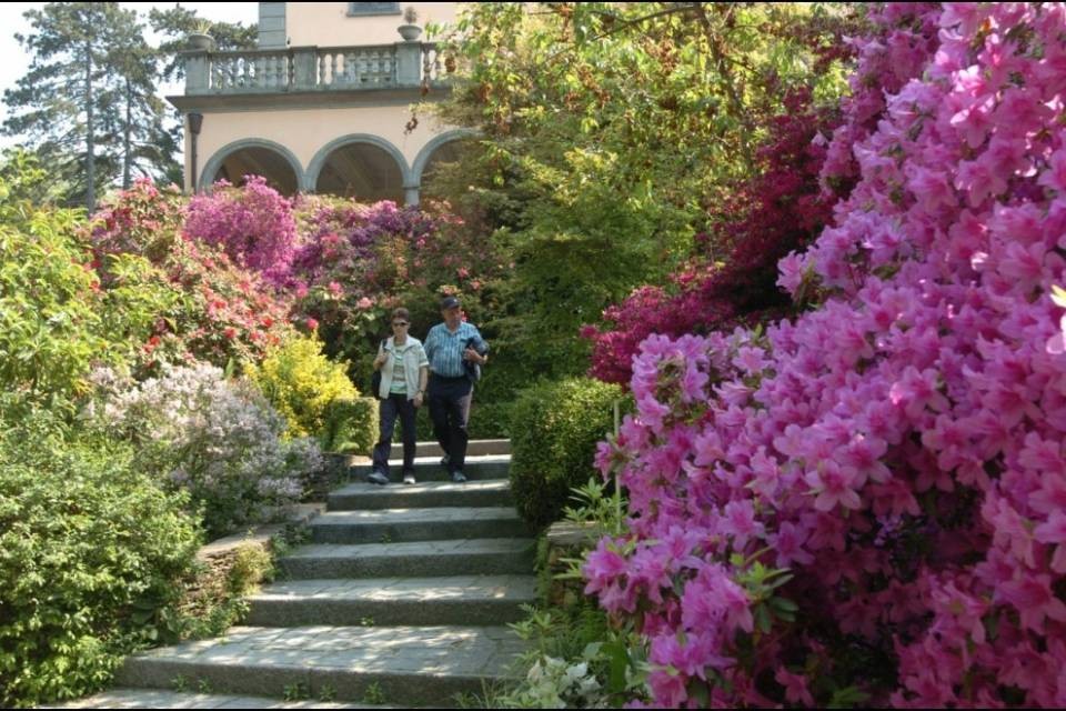 "Quale futuro per il Parco botanico delle Isole di Brissago?"