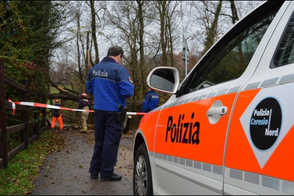 Un albero cade sulla strada a Origlio