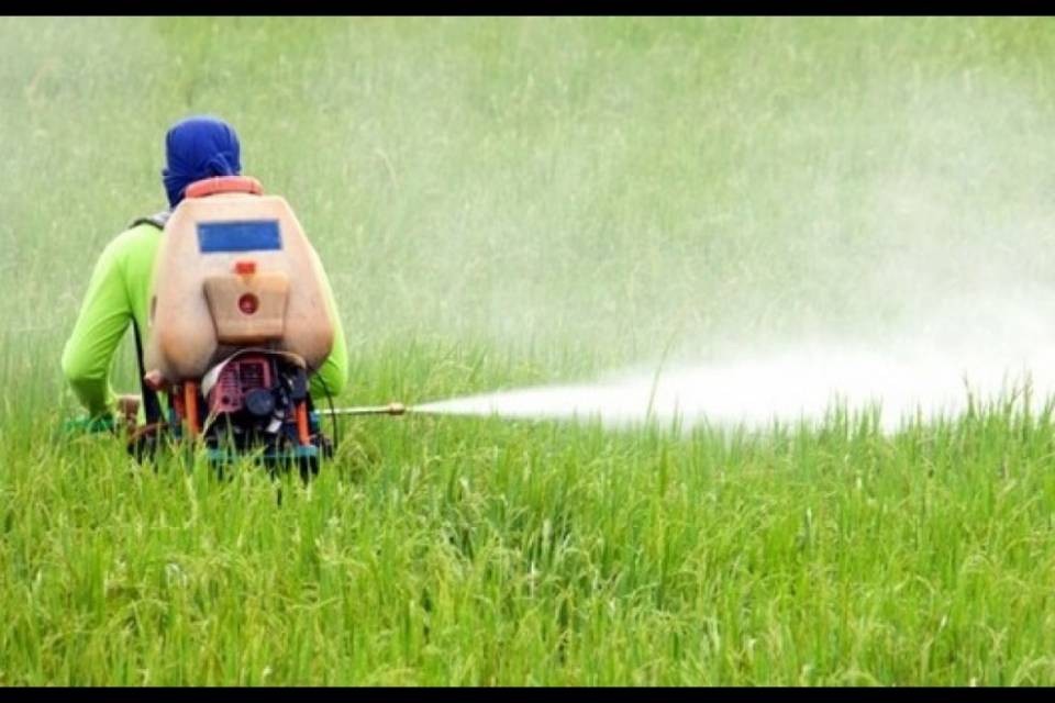 Gli USA non vietano il pesticida legato a malattie infantili